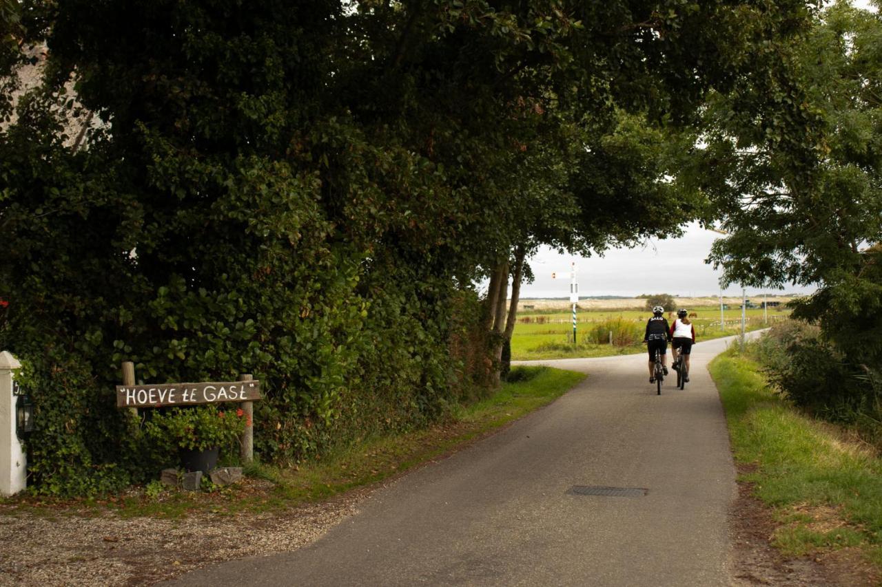 Hoeve Te Gast - Vakantieboerderij Грут Экстерьер фото